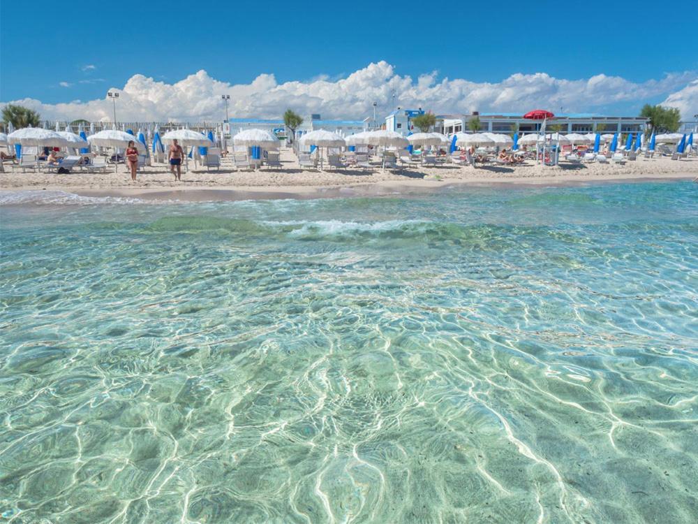Mare